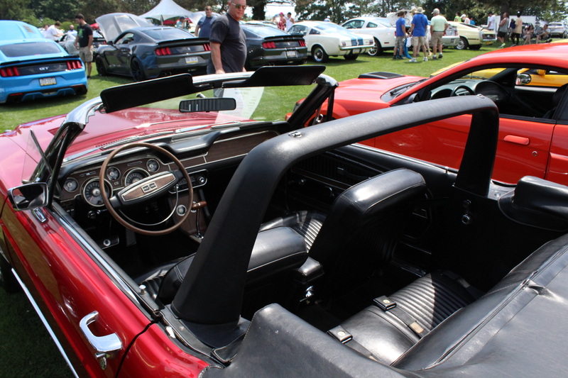 Illustration for article titled PVGP photos